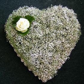 fwthumbPicture 326l.jpg